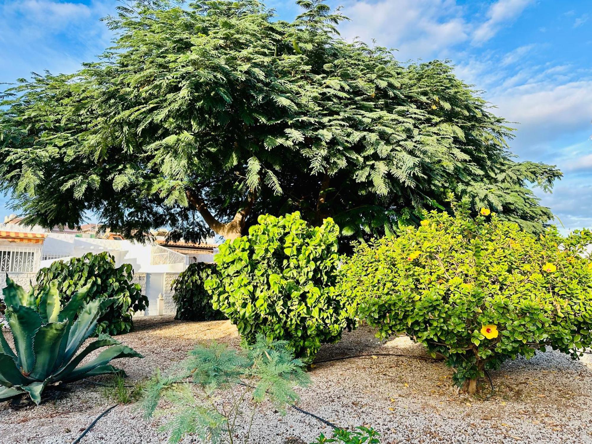 Casa Una Bungalow Delux أرونا المظهر الخارجي الصورة